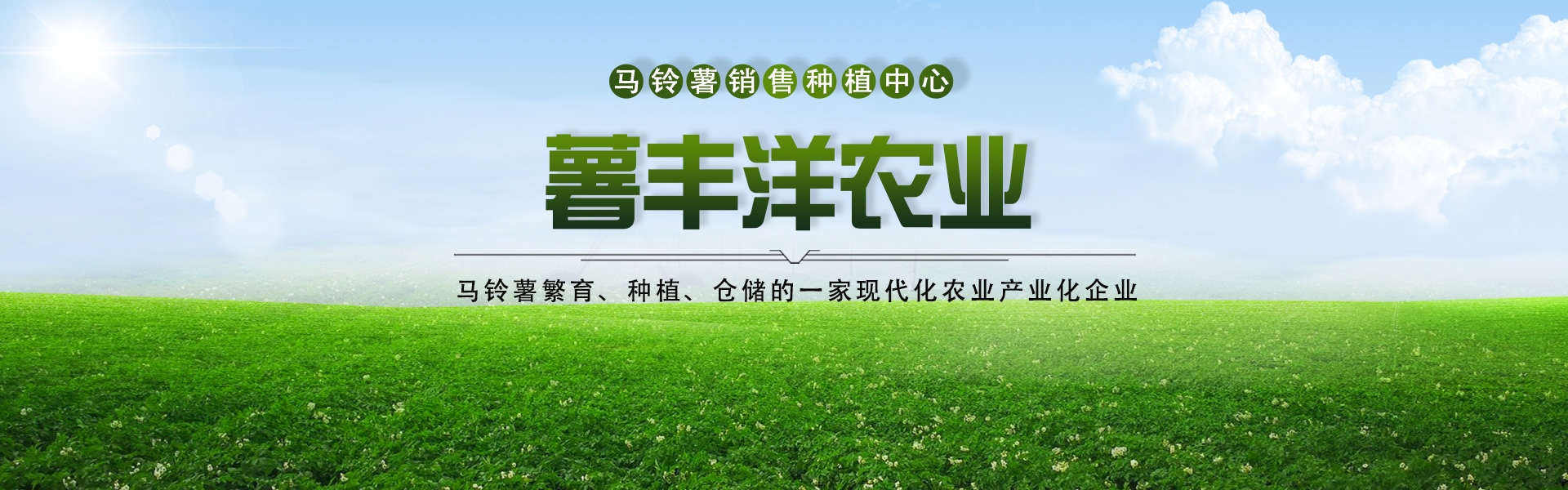 巴林左旗薯豐洋農業科技有限公司